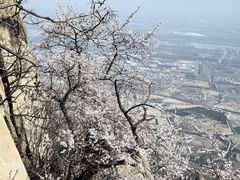 -北京凤凰岭