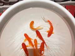 -小龙坎火锅(湖滨银泰in77店)