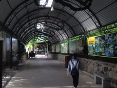 -100蛋泥浆浴