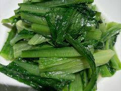 -新渝城·川菜·火锅(区庄店)