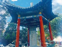 -桃花堤公园