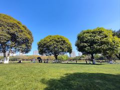 -重庆中央公园(渝北区)