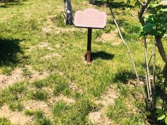 -孔子六艺文化园