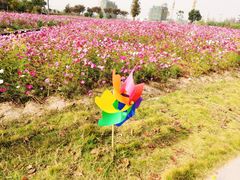 -歌斐颂巧克力小镇