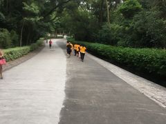 -狐尾山公园