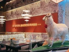 -百草滩羊清水涮羊肉·清真·宁夏盐池滩羊(莲花桥店)