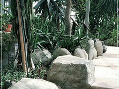-南山植物园
