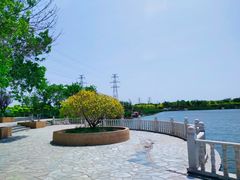-大港湿地公园