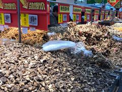 店内环境-沃尔玛购物广场(东莞凤岗中心分店)