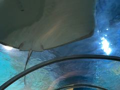 -石家庄海洋公园