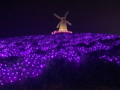 -大塘金香草谷