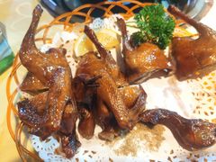 -一煲鸽