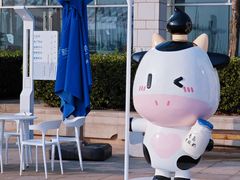 -船歌·鱼水饺青岛菜(奥帆中心店)