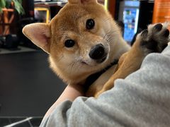 -加伍磅健身(千树店)