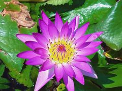 -三亚南山文化旅游区