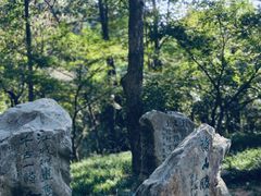 -敬亭山风景名胜区