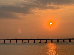 -宝安西湾红树林湿地公园