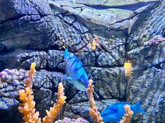 -成都浩海立方海洋公园