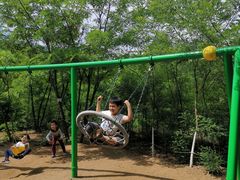 -欢乐松鼠谷