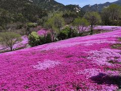 -昆嵛山石门里景区