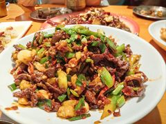 -柴窝堡22号辣子鸡·传承新疆菜