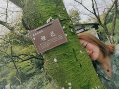 -中国茶叶博物馆(双峰馆区)
