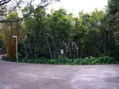 -中山公园(石岐街道)