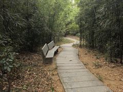 -中山市树木园