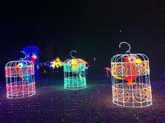 -飞凤山奥体公园