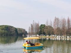 -艾溪湖湿地公园