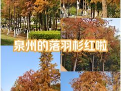 -八仙山公园