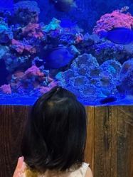 -Zoolung Zoolung动物主题公园(海信广场店)