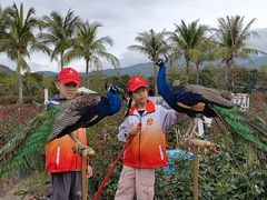 -亚龙湾国际玫瑰谷