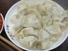 韭菜肉水饺-西安饺子馆(南坪西路店)