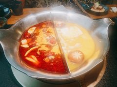 红颜花胶鸡锅-湊湊火锅·茶憩(上海合生汇店)