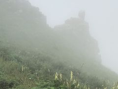 -空中草原