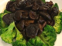 香菇西兰花-长春观斋补堂素菜馆
