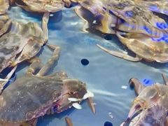 -澜悦港海鲜体验主题餐厅