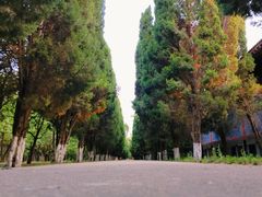 -函谷关历史文化旅游区