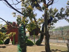 -东平国家森林公园