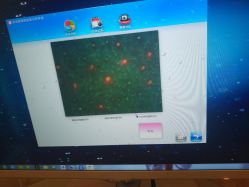 -SPICERY HOUSE芳香世家皮肤管理中心