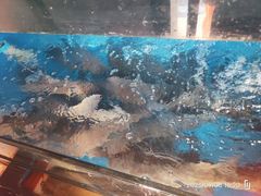 -丰乐餐厅·始于1999·本地老字号