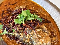 -大张烙馍村·美食地标(泉山店)