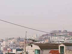 -梨泰院