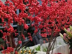 -双季花艺园艺市场(浦东店)