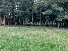 -中国天府农业博览园