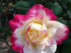 -文华公园(禅城区)