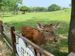 -良渚古城遗址公园