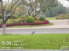 -羊山湖公园