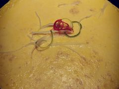 -直隶安家牛肉罩饼(建华店)